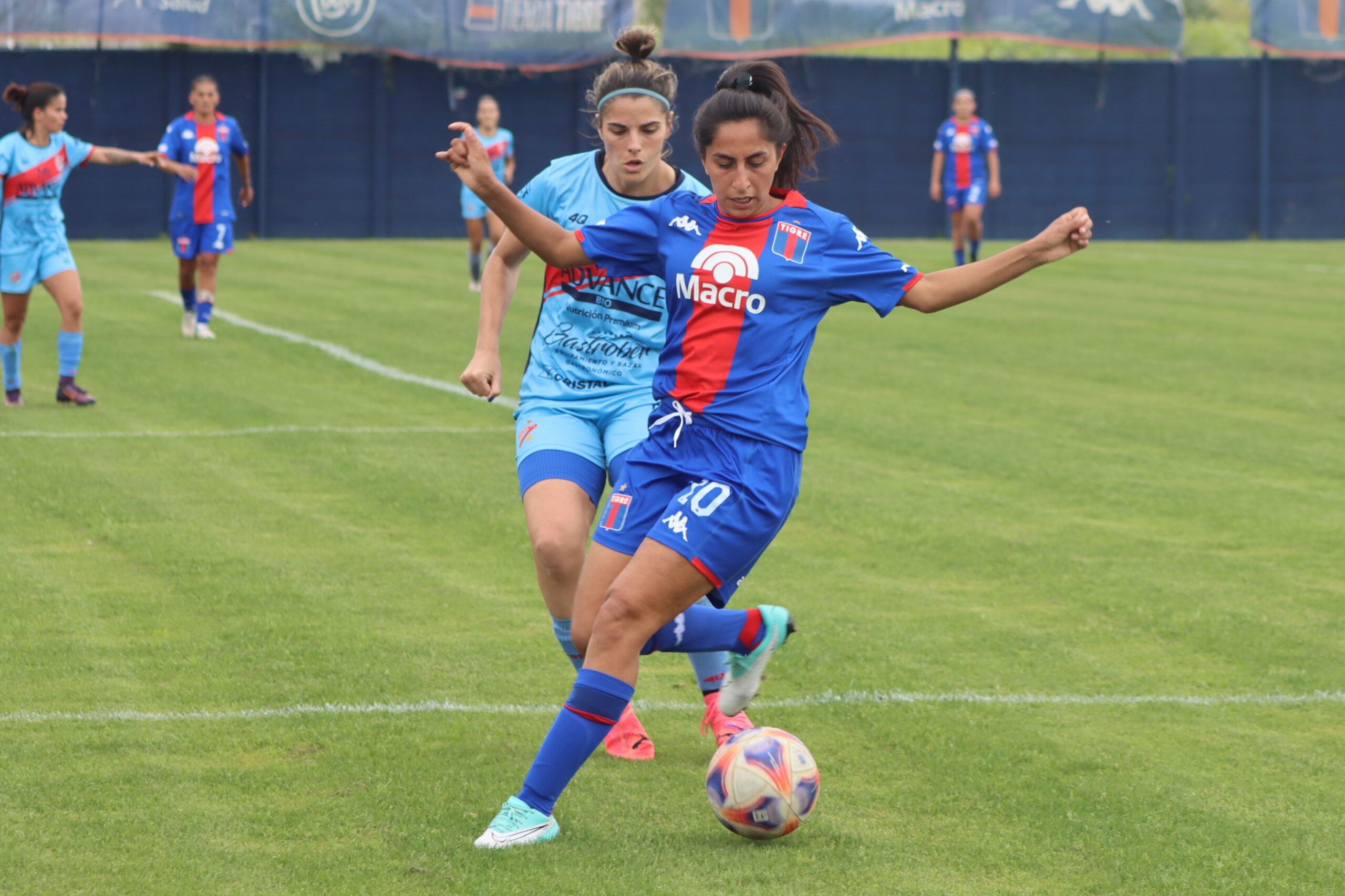 FEMENINO: TIGRE ES SEMIFINALISTA Y VA POR EL ASCENSO